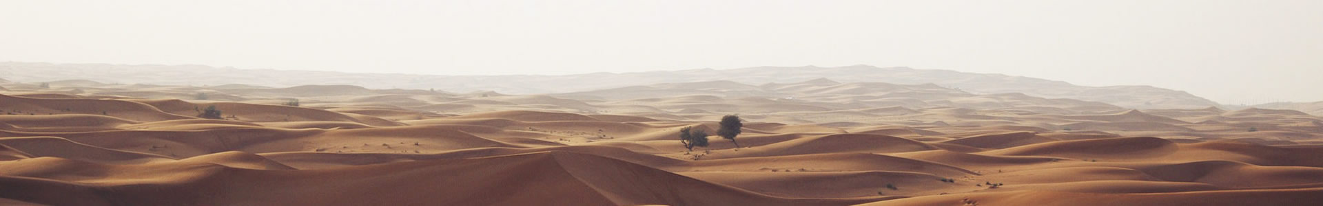 ݶǹܵ޹˾